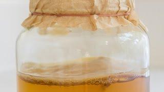 Make Your Own Kombucha