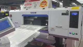 Audley 24" 4 head dtf printer with advanced auto-shaker machine, sophie +86 15136217640