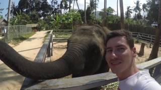 1.5 Funny Day Safari  Samui 2016