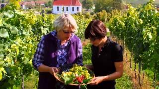 Weingut Wissing in Gleiszellen Pfalz (HD)