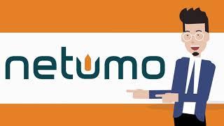 Netumo - A comprehensive solution, uptime, security, website performance audits and more.