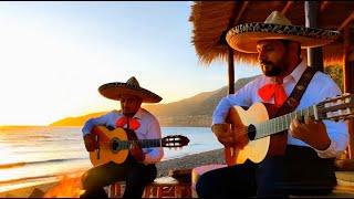 "Coastal Rhythms: Guitar Meditation" #relaxingguitarmusic