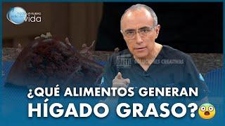 ¿Cuáles son los alimentos que generan HÍGADO GRASO ?