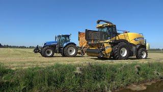 Loonbedrijf ten Cate aan het gras hakselen met New Holland FR500 en T7 trekkers (2024)