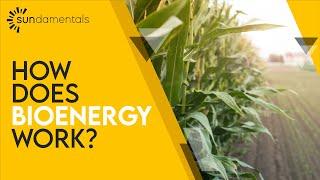 What is Bioenergy?