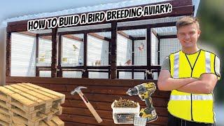 How to Build a Bird Breeding Aviary | My NEW Aviary