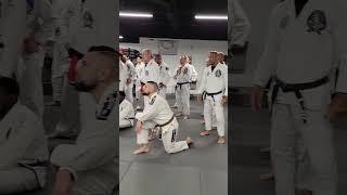 Royce Gracie Seminar 2023