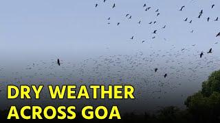 Perfect Weather for Tourists to Explore Goa || Goa365 TV