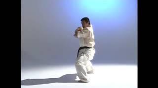 kanku kata shinkyokushinkai karate organization