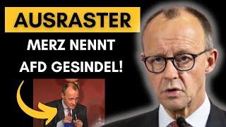 Merz rastet aus & will AfD - „Gesindel“ bekämpfen!