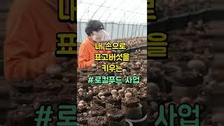 [일자리 정보] 60세 이상 운전가능 하신 분 신청하세요 | 구내식당에서 5시간만 일하실 분 신청하세요 #노인일자리 #일자리정보 #포항시니어클럽