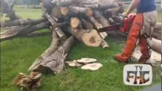 The Real Reason We like to Cut Firewood