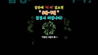 이 띠가 있다면 집안에 겹경사 터집니다 | 띠별운세 | 풍수 | 재물운