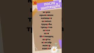 В этих словах после шипящих пишется гласная О! # shorts #shortvideo