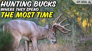 Shouldn't you hunt a buck where he spends the MOST time? 95% of hunters WONT do this