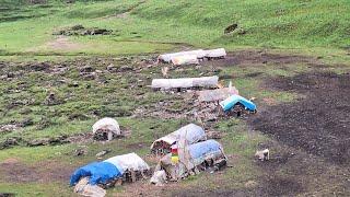 Best Nepali Himalayan Village Life in yak Fram |  Dolpa | Nepal | Real Rural Village Life Nepal |