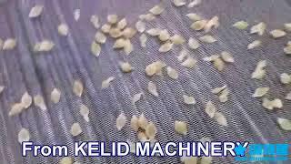 pasta machine from Jinan Kelid Machinery