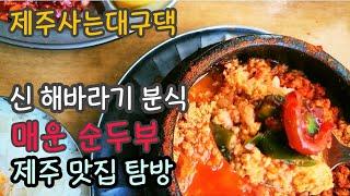 #제주맛집  #핫한순두부  #줄서서먹는집 #신해바라기분식