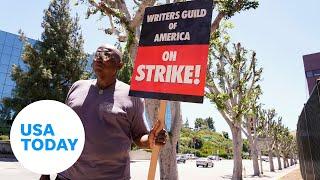 SAG-AFTRA picketers slam trimmed trees outside Universal Studios | USA TODAY