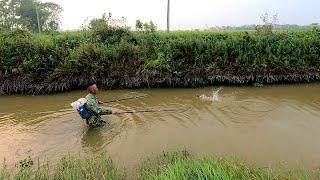 Nội lưng cổ để kích cá chép đồng