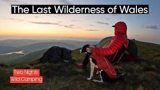 Wild Camping on the Tallest Mountain in The Cambrian Range | Pumlumon Fawr