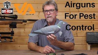 Airguns for Pest Control