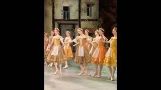 #MikhailovskyTheatre  Aleksey Bagryanskiy  source* Элитные Крестьянки из #Балета #Жизель