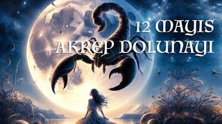 12 Mayıs Akrep Dolunayı - Kontrol İlüzyonundan Çıkış