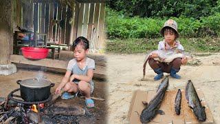 Uncle Thanh didn't come today, Linh Dan went fishing in the lake and caught a big fish to sell