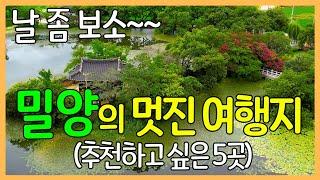 경상남도 밀양의 멋진 여행지 5곳 / 위양지, 영남루, 무봉사, 월연정, 용평터널