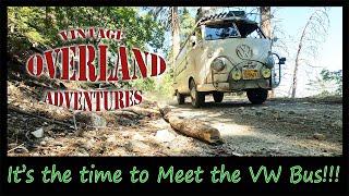 VW BUS Walk Around ! What's inside? Come along the Vintage Adventure!