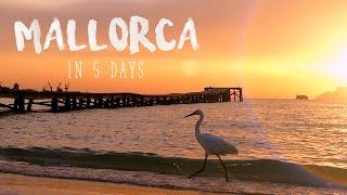 5 Days In Mallorca, cinematic video of our 5 days trip in the Baleares island