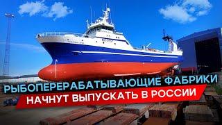 Рыбоперерабатывающие фабрики российского производства | интервью и репортаж