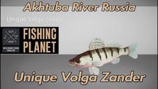 Fishing Planet Unique Volga Zander Akhtuba River Russia