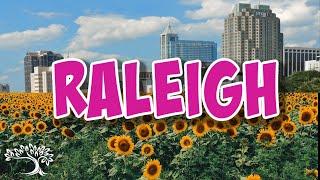 Raleigh NC Rocks!! Top 10 Reasons I Love Living Here