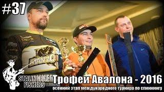 Трофеи Авалона - 2016 (осенний этап)