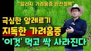 치료안되는 알러지 지독한 가려움증 '이것' 먹고 싹 사라진다