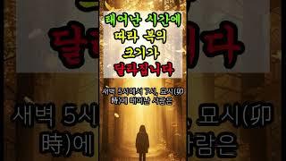 복의 크기, 태어난 시간에 따라 달라집니다 #운명서재 #시주#사주#출생시간#운세