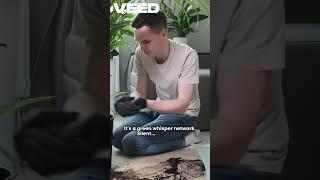Plants Can  Talk to Each Other #knowledge #facts #science #nature #talk #vlog #viralshorts