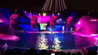 Sea World San Diego, Killer Whales night show part #2