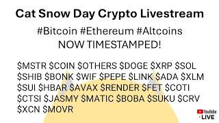 Cat's #Bitcoin and #Crypto Livestream (Timestamped)