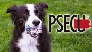 PSECU Visa Commercial with Nana the Border Collie