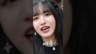 [아이브] 리즈의 리즈시절