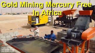 Gold Mining Improvements in Mauritania, Africa | Mercury-Free Gold Recovery with MBMM Equipment