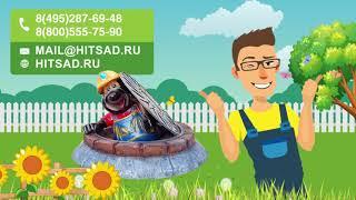 Лучшие Видео с канала Хитсад ТВ -  нитраты в овощах и фруктах