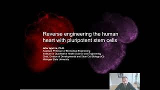 Reverse engineering the human heart with pluripotent stem cells