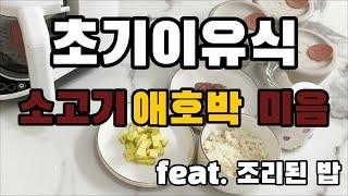 베이비 브레짜 이유식 마스터기 - 소고기애호박 미음 만들기 / 초기 이유식 :-)