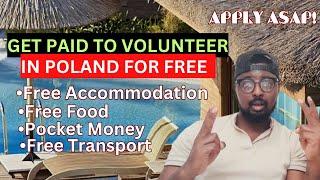 GET PAID TO VOLUNTEER IN POLAND FOR FREE! | APPLY TO THIS FOUNDATION | FREE MONEY, FREE FOOD..