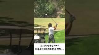 골프치러가면 이런사람꼭,한명씩있다? #골프 #골프스윙 #golf #shorts