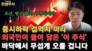 증시하락 겁먹지 마라, 조선 방산 말고 외국인이 쓸어 담은 '이 주식' 바닥에서 무섭게 오를 겁니다 [인생주식]